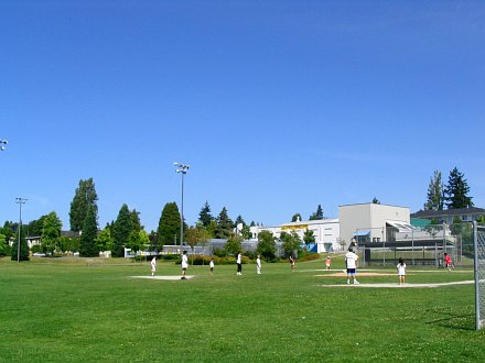 Marpole Neighbourhood Activity Report